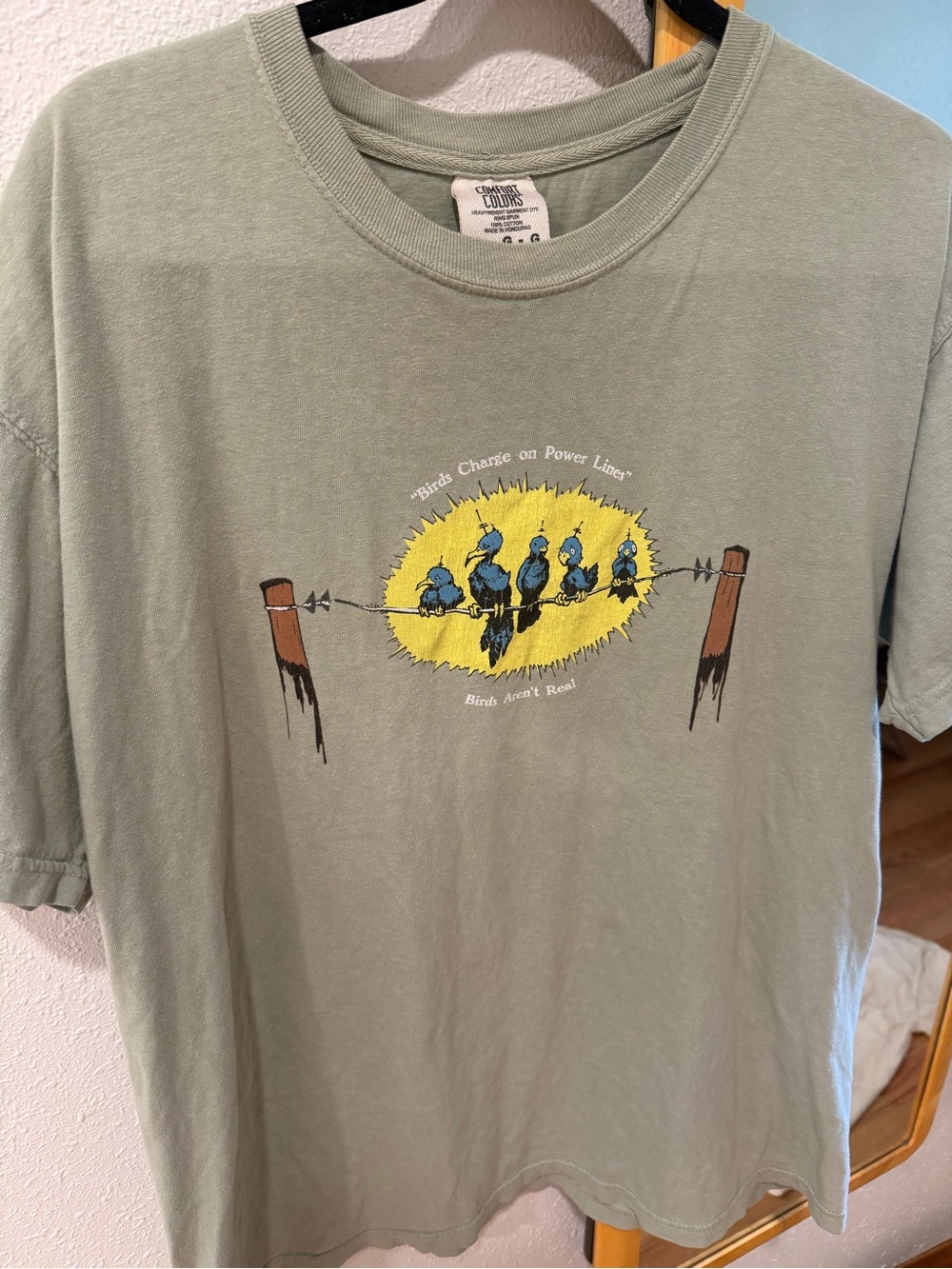 100% cotton birds aren’t real “birds charge on power lines” graphic tshirt